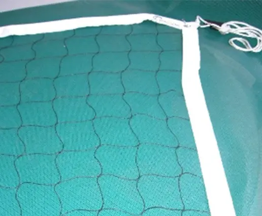 Xarxa promoció 18m FCVb